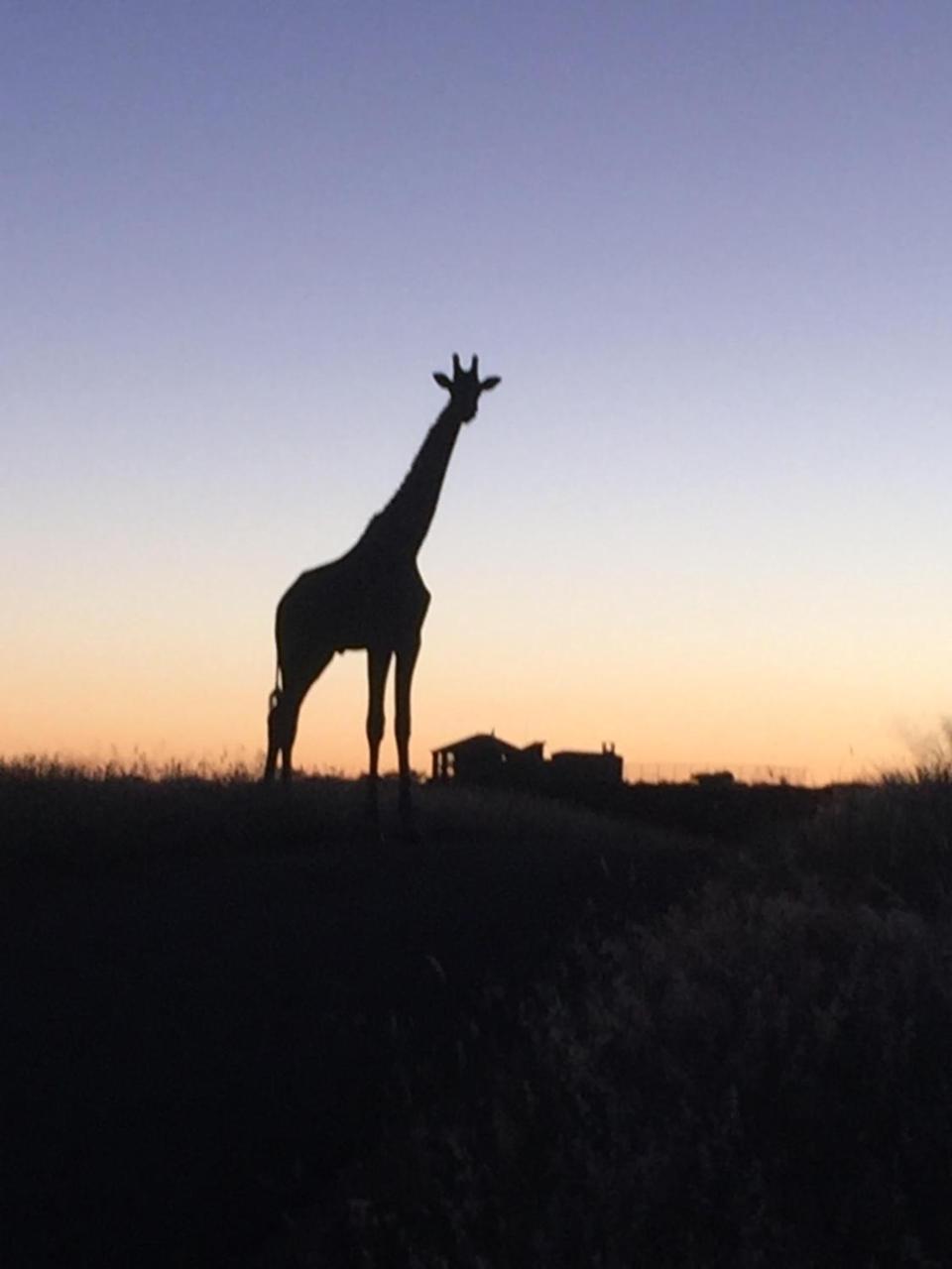 Windhoek Rural Self Catering Voigtland Luaran gambar